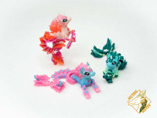 Hippocampus - Seahorse - Baby & Young