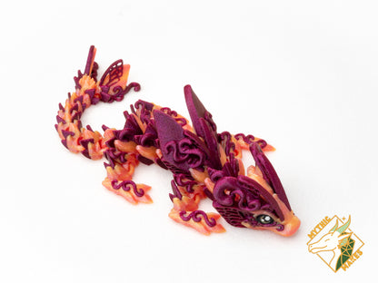 Dragon Papillon - Bébé et Jeune