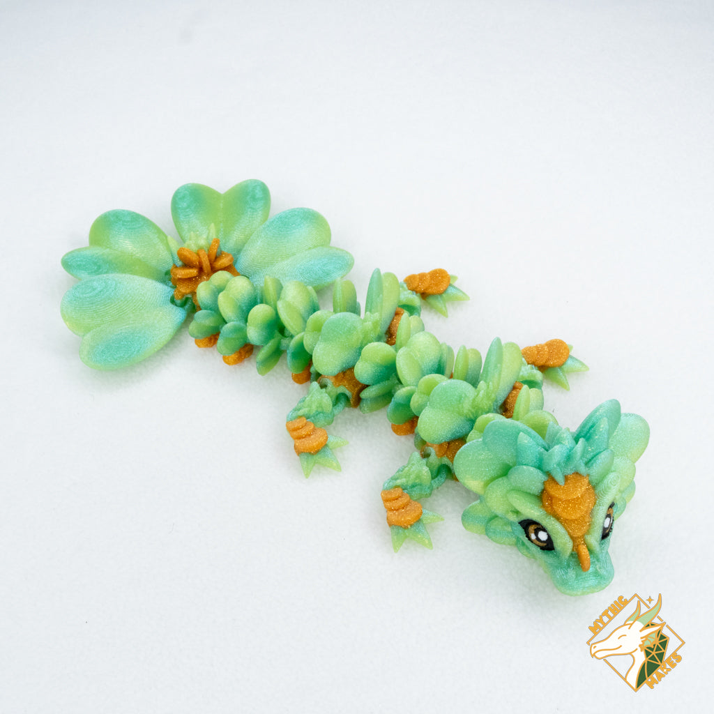 Clover Dragon - Baby & Young