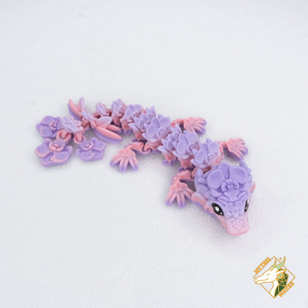 Orchid - Baby & Young