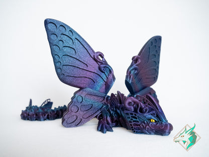 Adult Butterfly dragon
